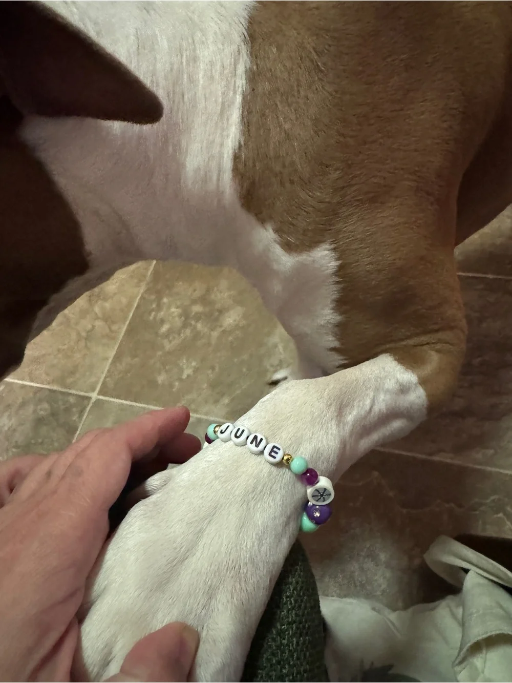 Personalized Pet Name Beaded Bracelet - White & Purple
